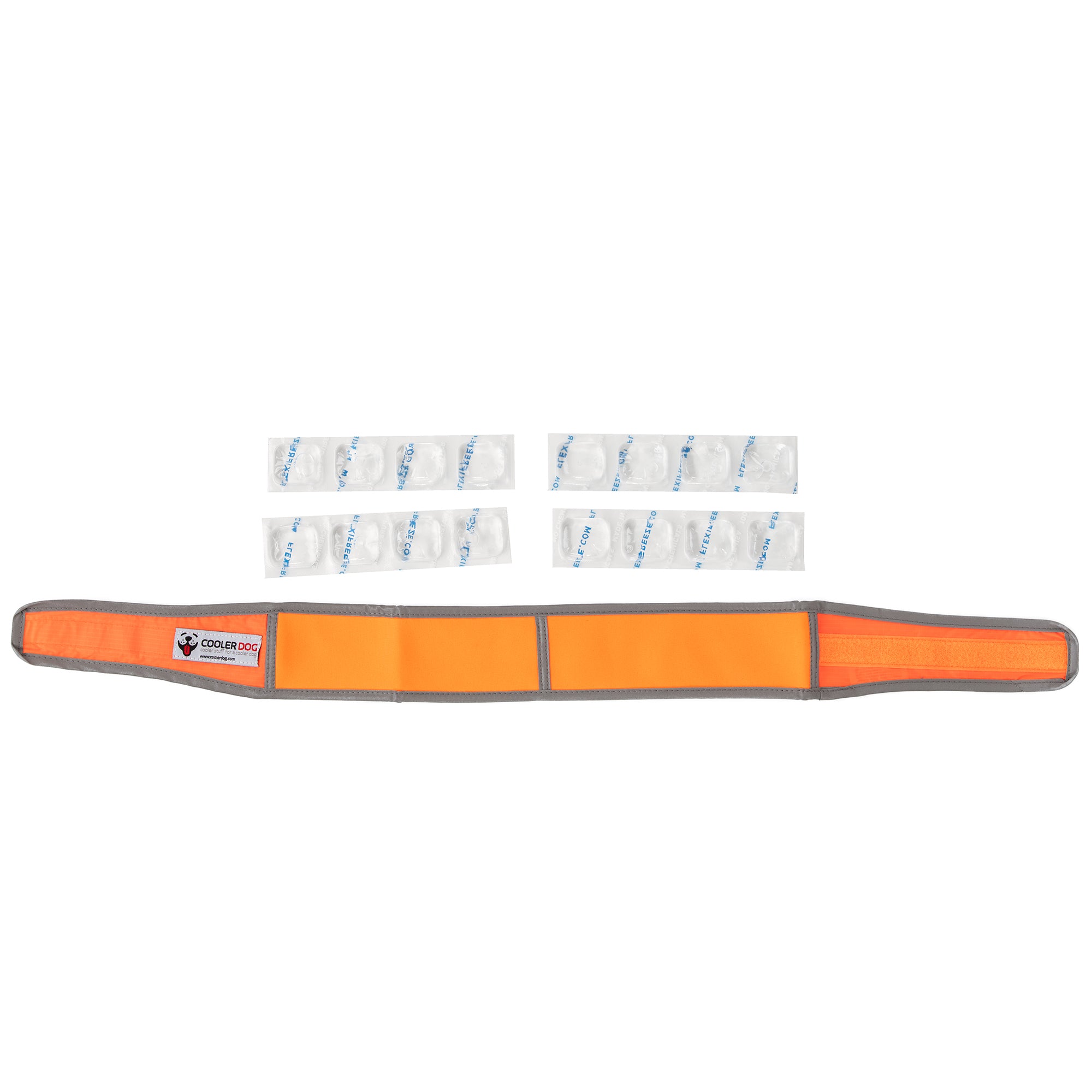 CoolerDog XL Hi-Vis collar, orange, with refreezable ice
