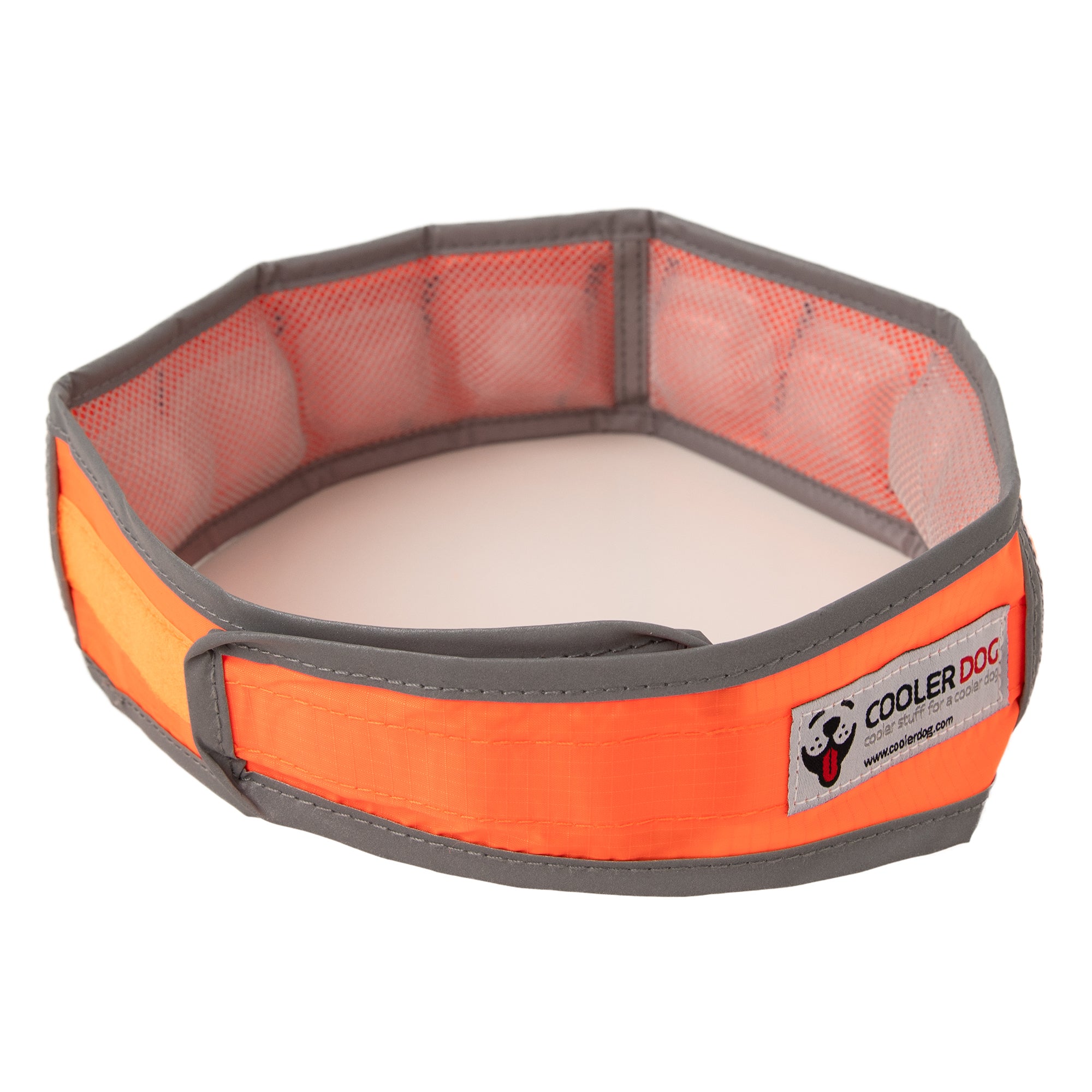 CoolerDog Hi-Vis collar, orange, with refreezable ice inserted