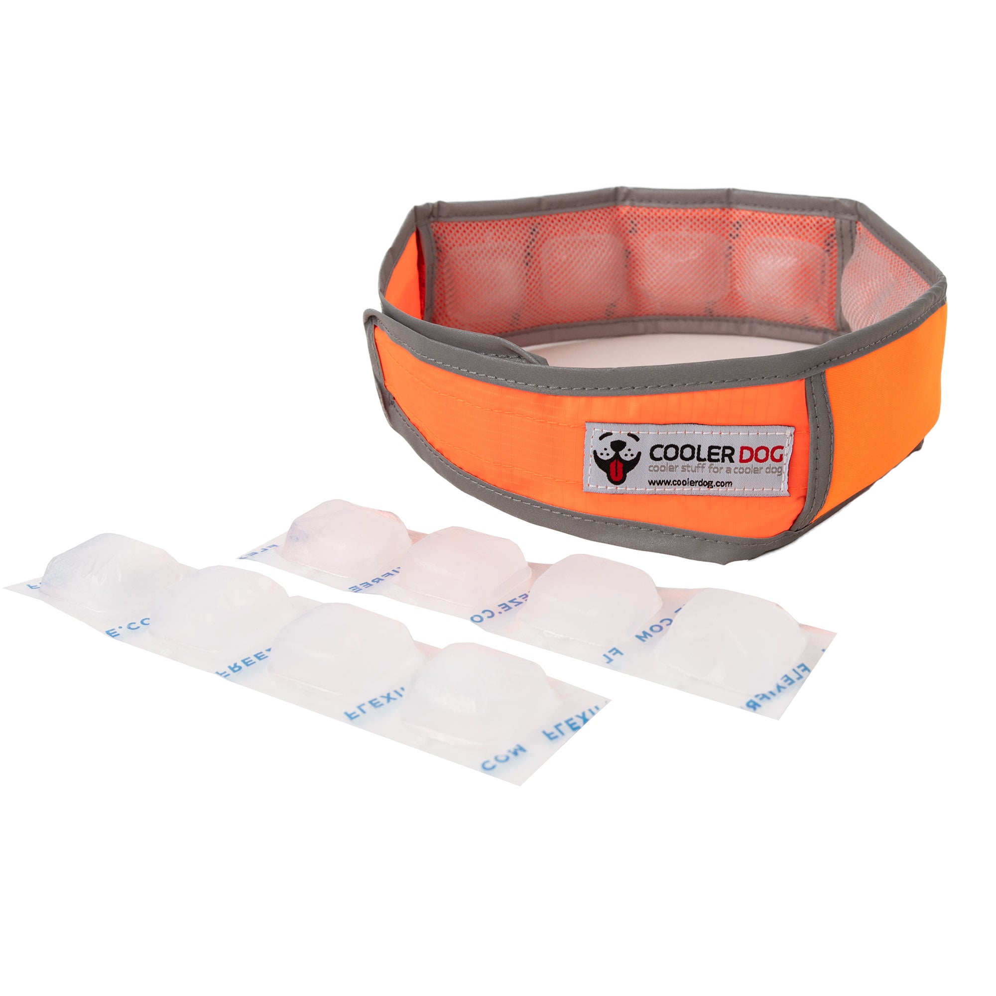 CoolerDog Hi-Vis collar, orange, with extra refreezable ice