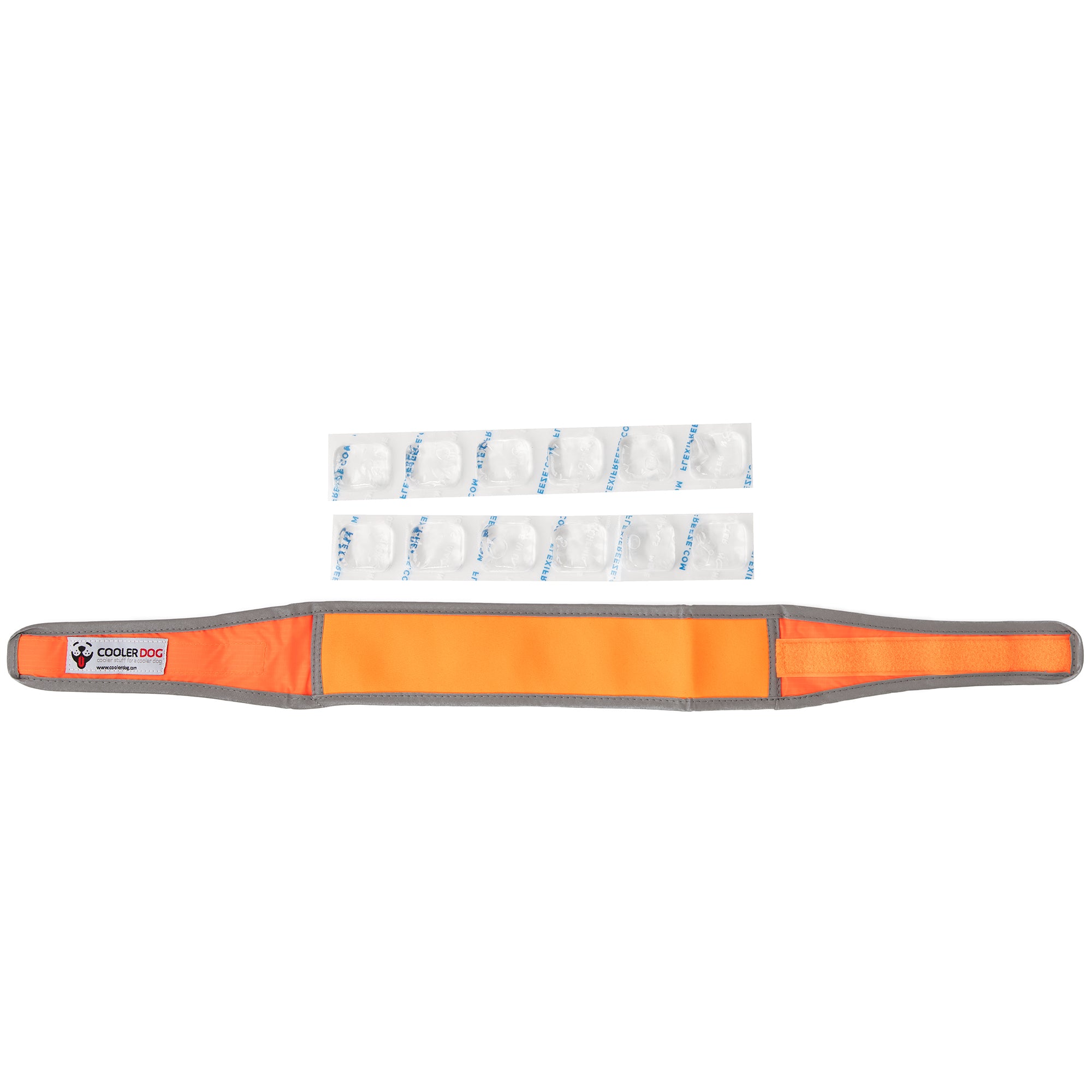 CoolerDog Hi-Vis collar, large, orange, with extra refreezable ice
