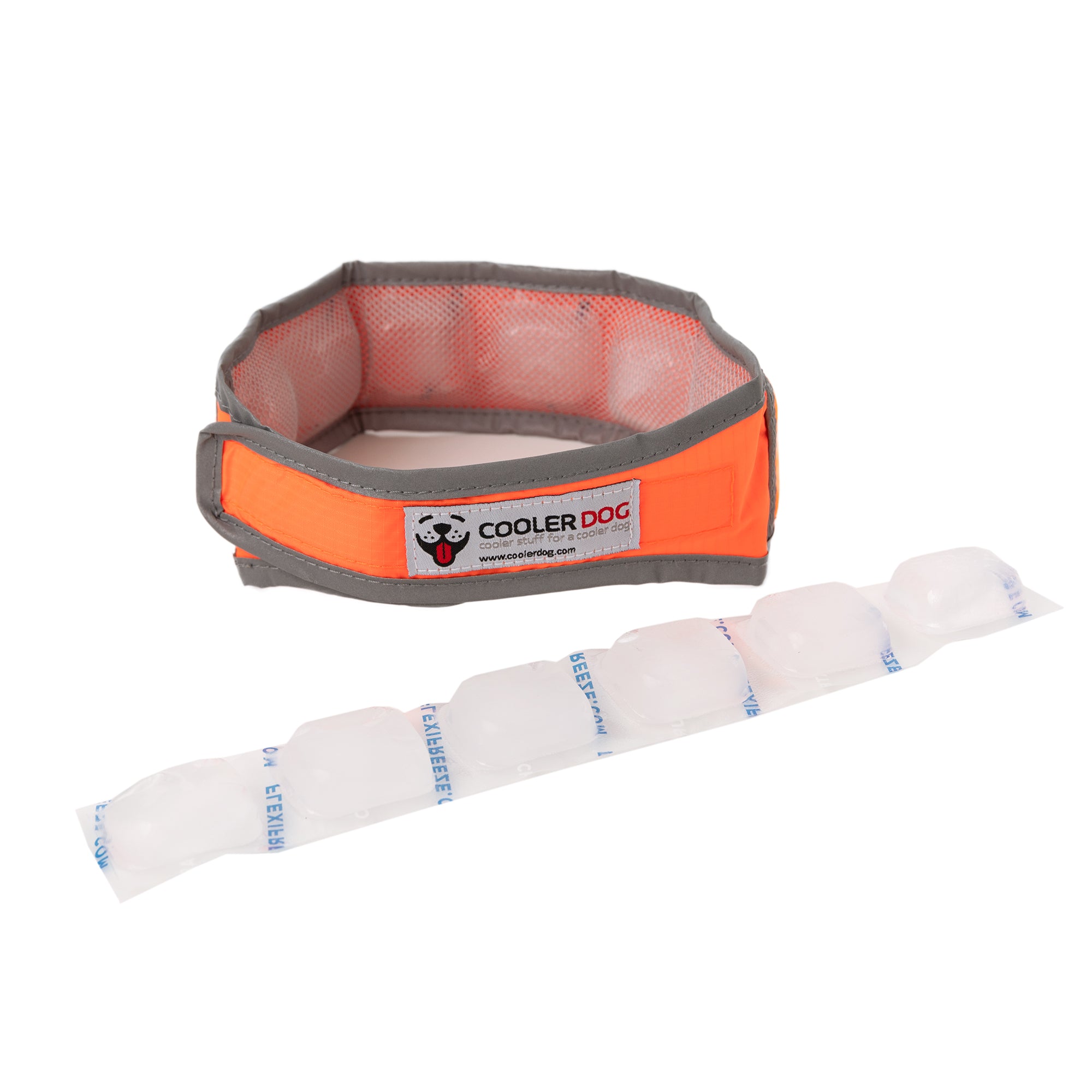 CoolerDog Hi-Vis collar, orange, with extra refreezable ice