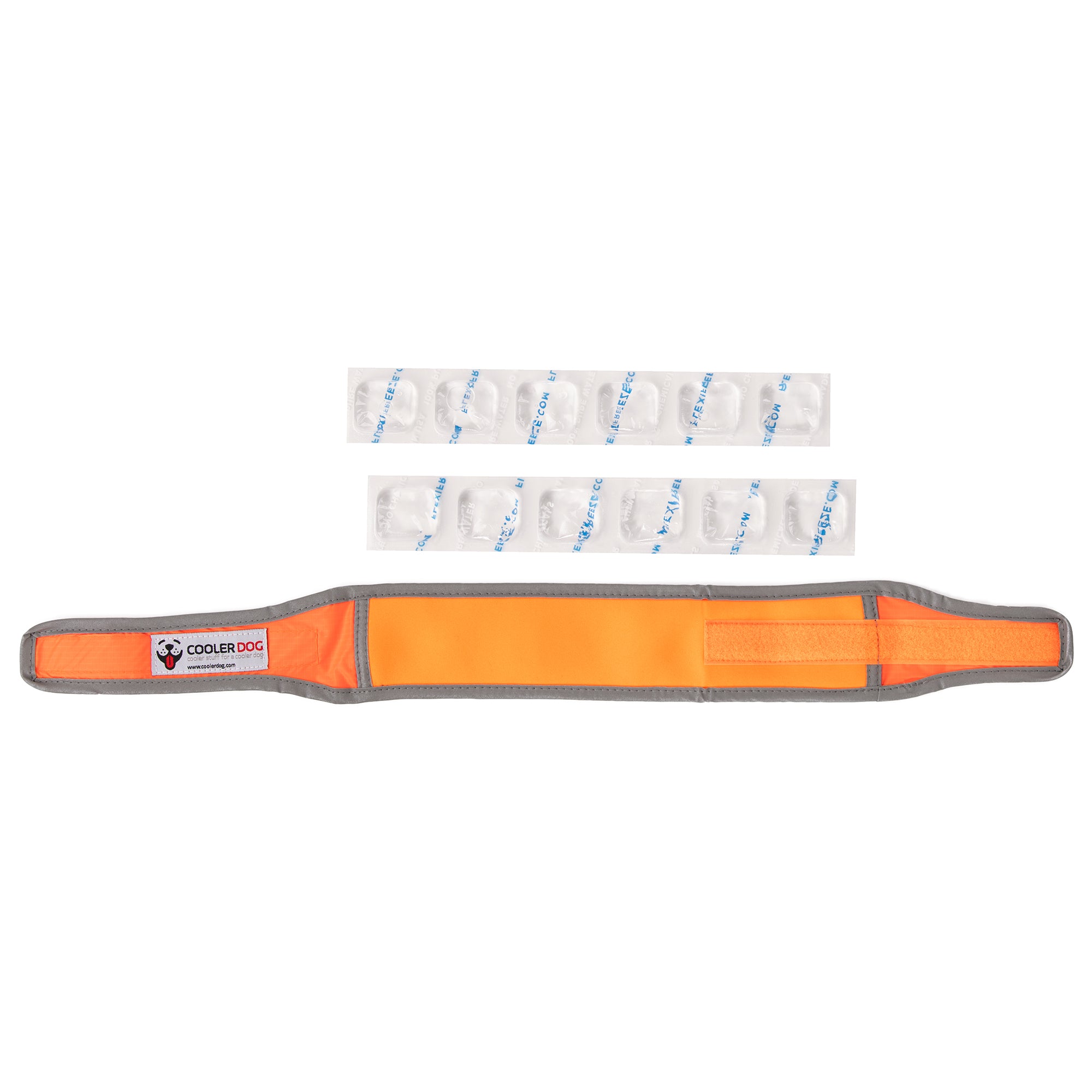 CoolerDog Hi-Vis collar, orange, with extra refreezable ice