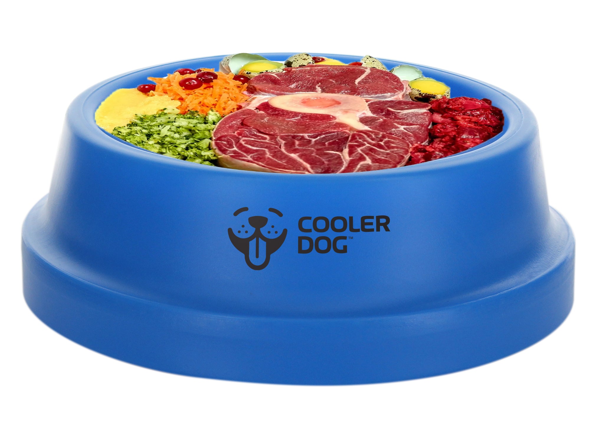 What Is A Raw Diet For Dogs CoolerDog what-is-a-raw-diet-for-dogs-coolerdog