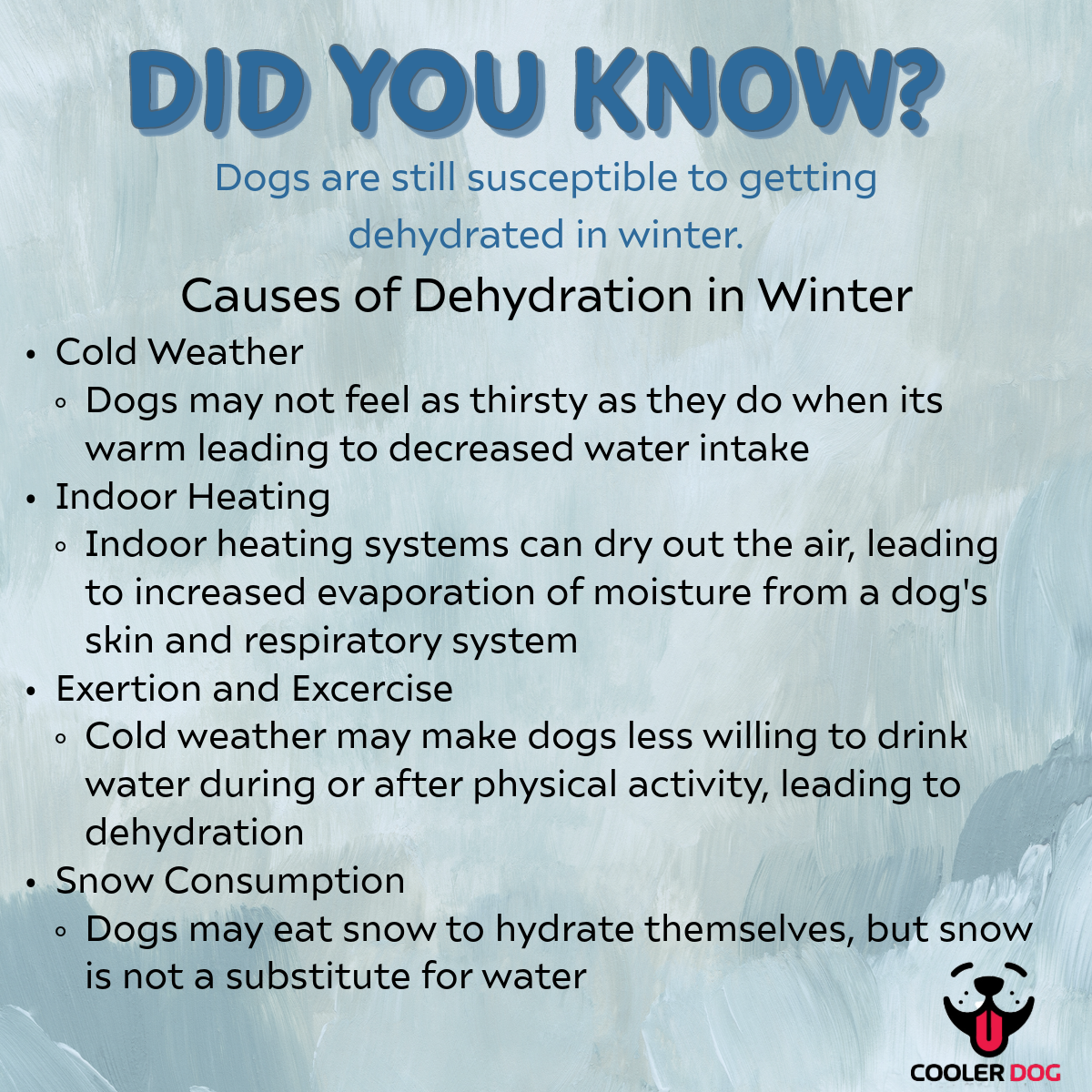 Winter Dog Hydration Guide: Tips to Prevent Dehydration