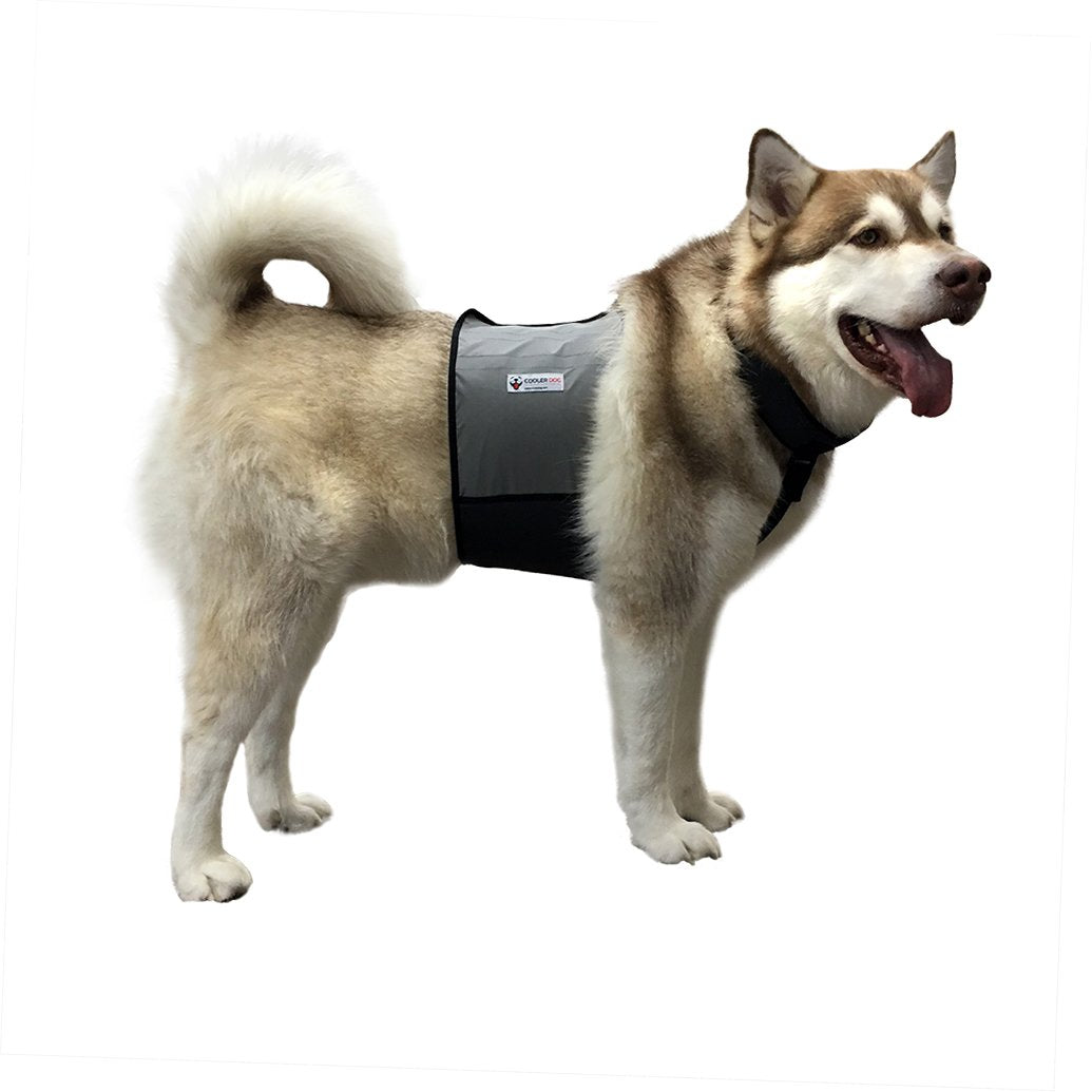 Dog Cooling Products