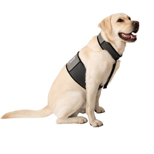 CoolerDog Dog Cooling Vest and Collar
