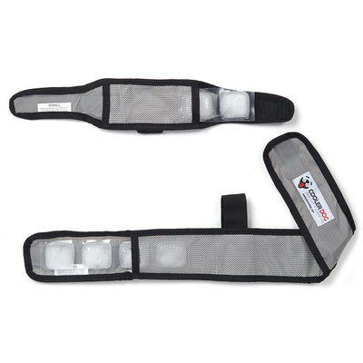 CoolerDog cooling vest and collar, extra small, gray, disassembled with refreezable ice