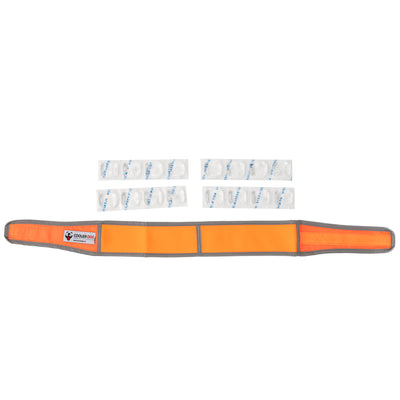 CoolerDog Hi-Vis collar, orange, with extra refreezable ice 
