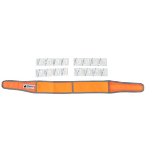 CoolerDog XL Hi-Vis collar, orange, with refreezable ice 