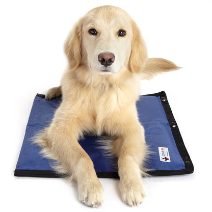 CoolerDog Hydro Cooling Mat with medium sized dog resting on top
