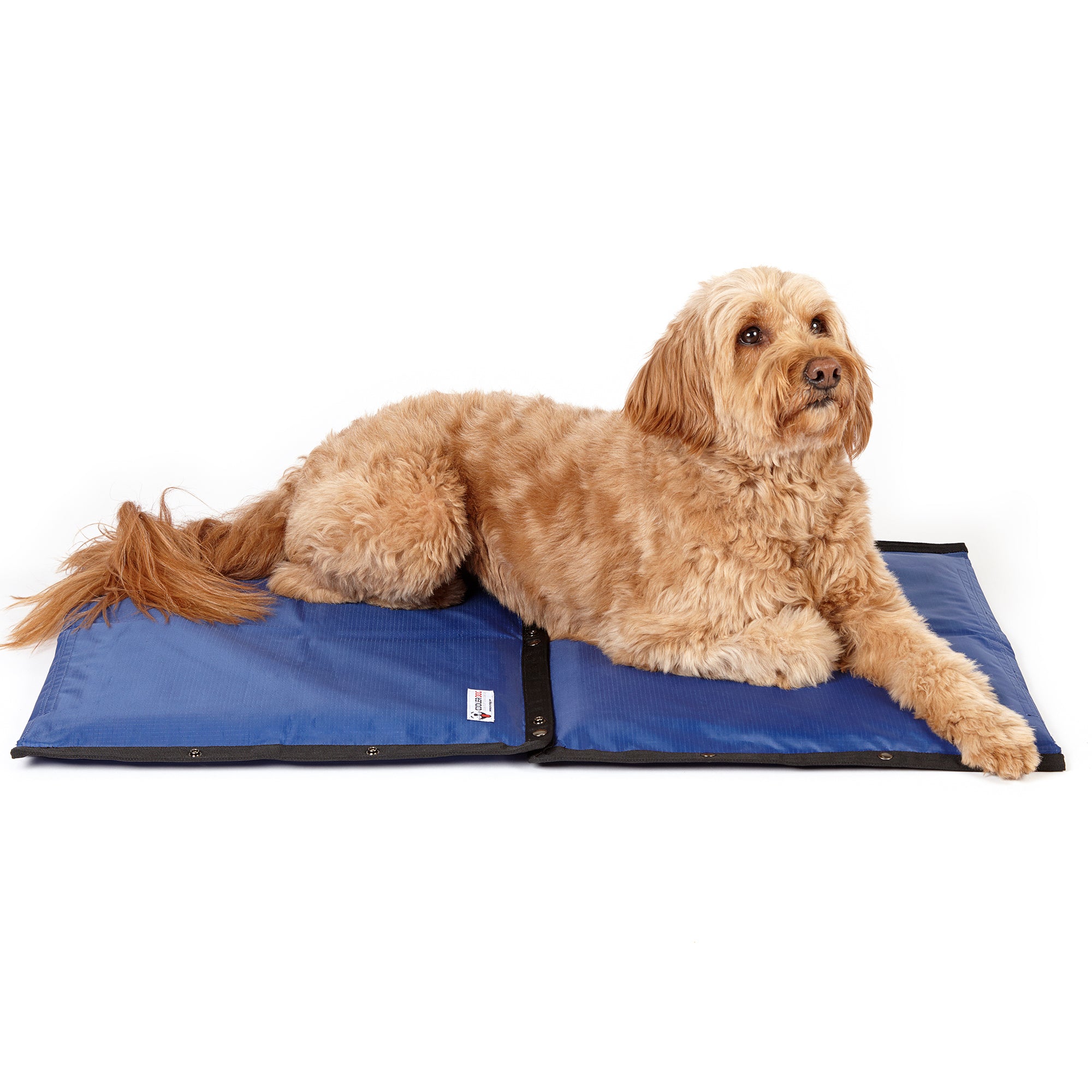 2 CoolerDog Hydro Cooling Mats, connected, with medium sized dog resting on top