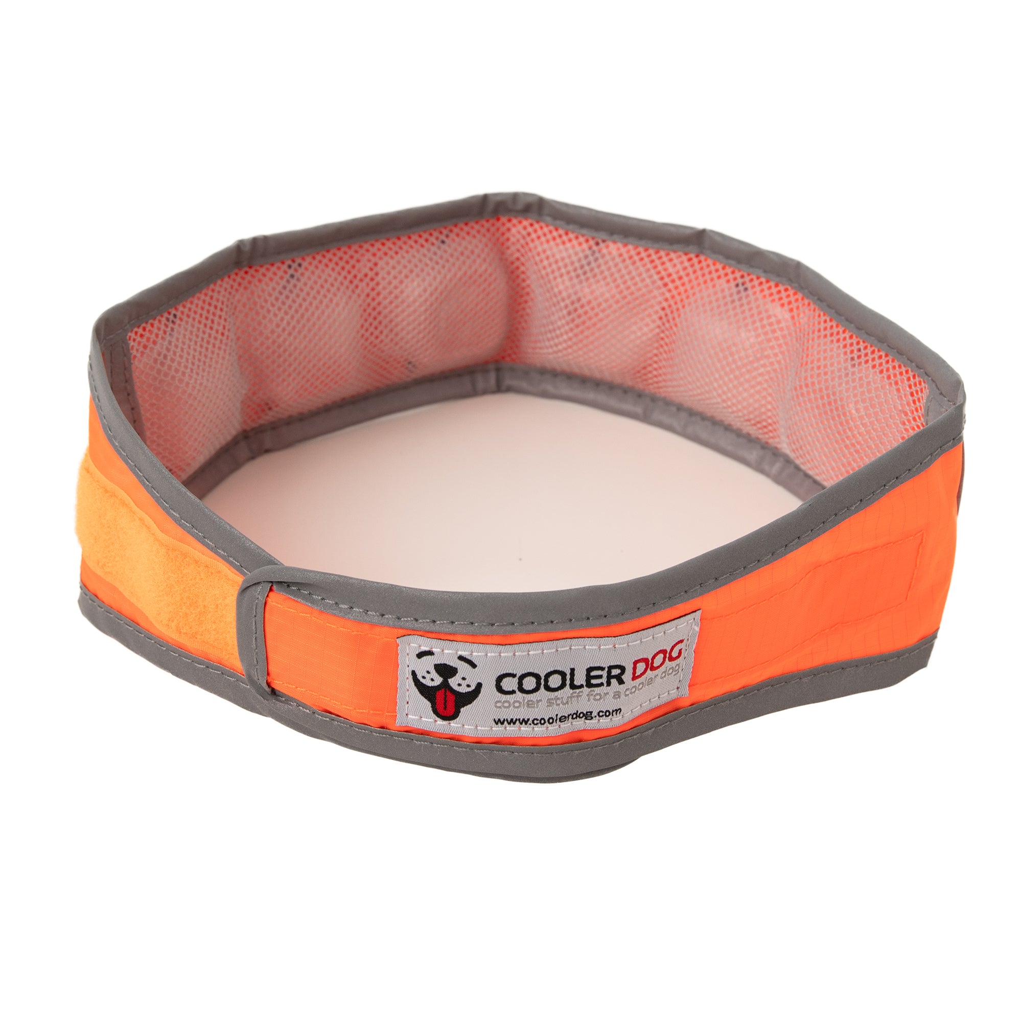 CoolerDog Hi-Vis collar, large, orange