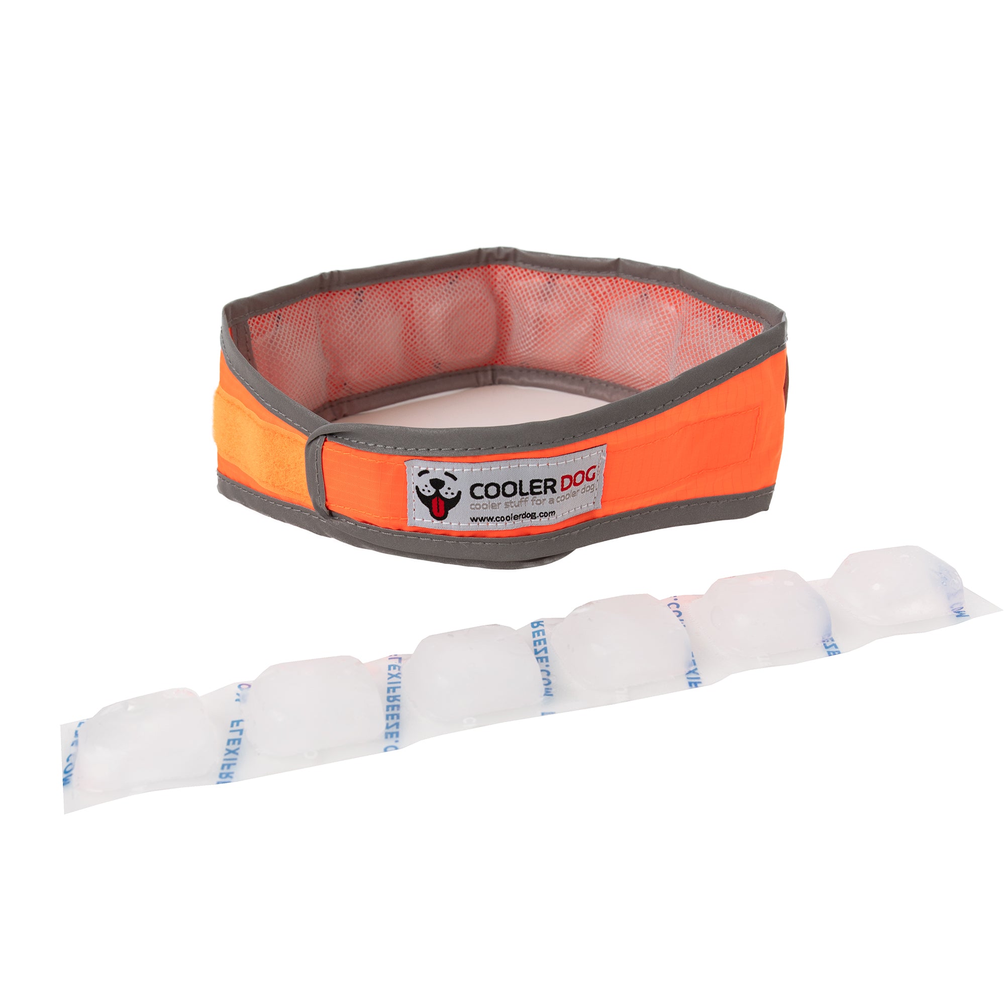 CoolerDog Hi-Vis collar, large, orange, with extra refreezable ice 