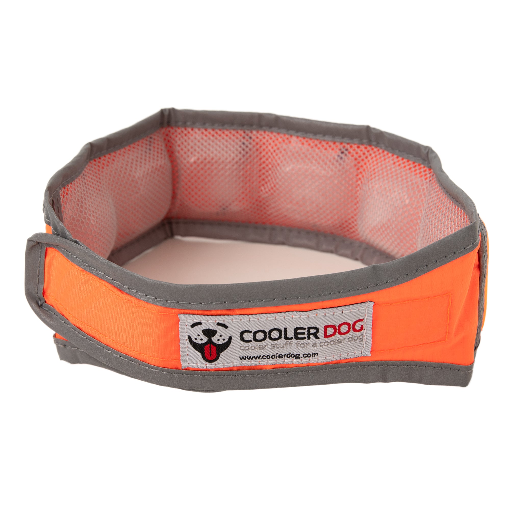 CoolerDog Hi-Vis collar, orange, with refreezable ice inserted