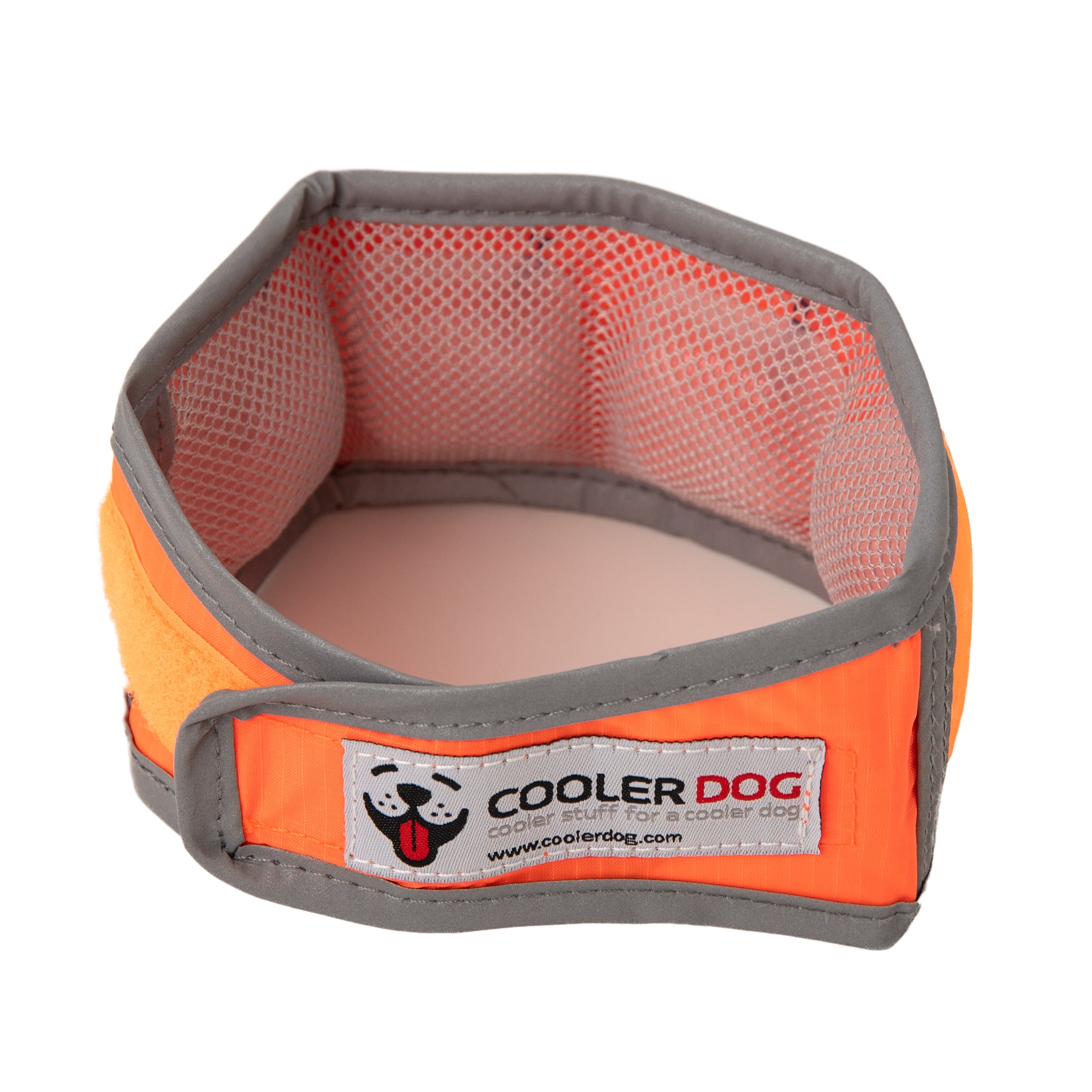 CoolerDog Hi-Vis collar, orange, with refreezable ice inserted