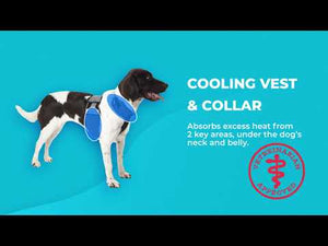Cooling Vest and Cooling Collar (Extra Small Dogs)